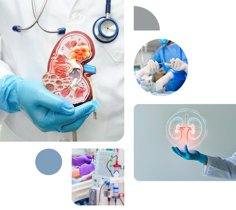 Collage-Dr-Irving-Servicio-